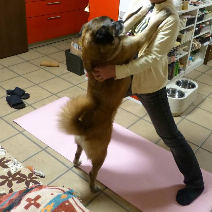 2728f80f 7c69 4e62 af55 d1c73c44f14b 1578842208138