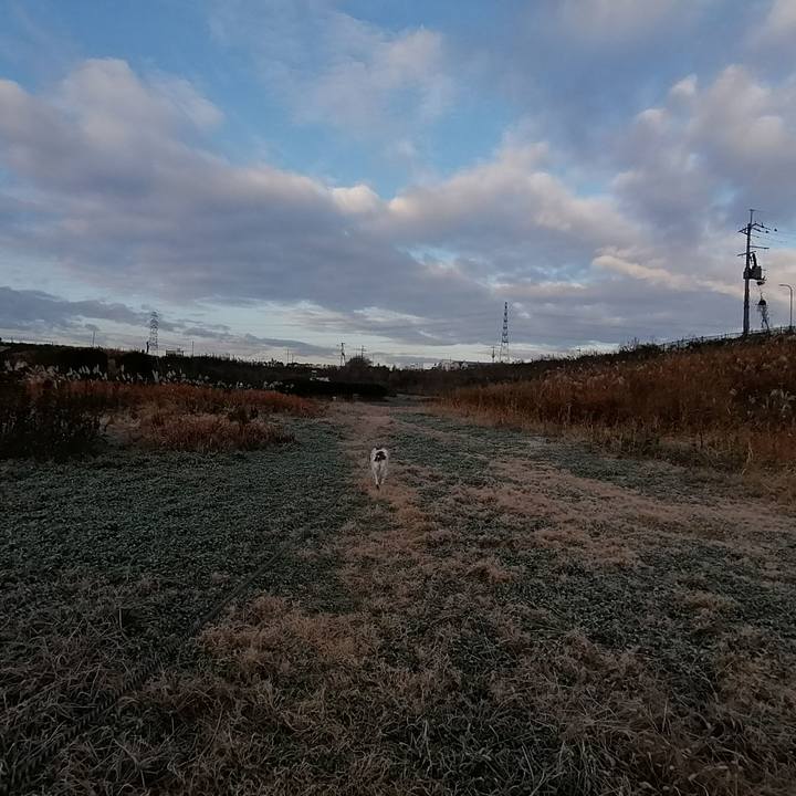 272923f6 c311 4a78 87ba 5241ebad9688 1577495962437