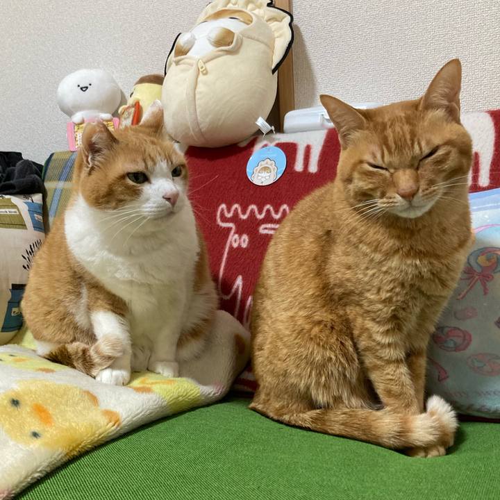 27292ca9 c9d6 4c68 a4ba 2397713ce798 1777244460745