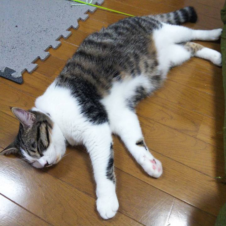 272938bd 542d 444f a959 5cbd699c1248 1622721621100