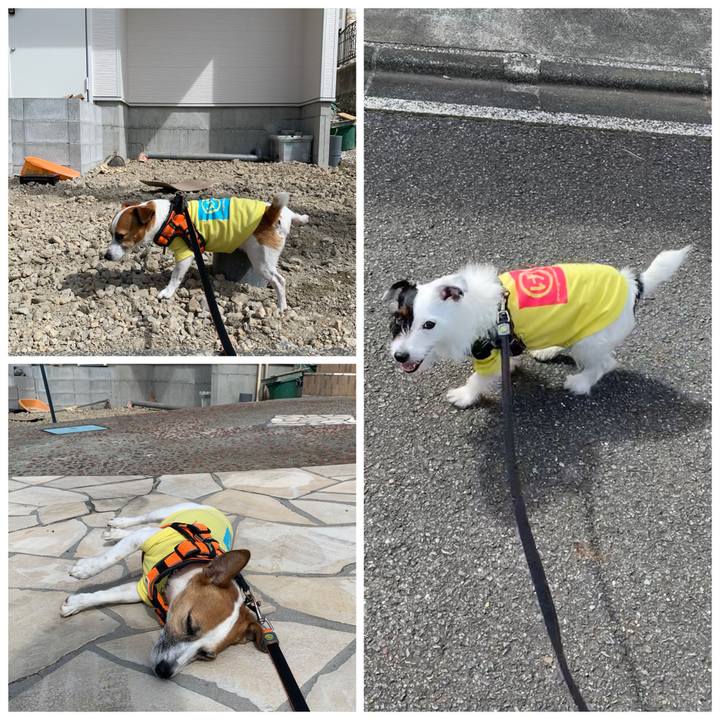 27295290 7d4a 44b3 ac67 45382581e52b 1569115289937