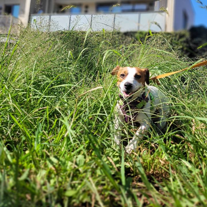 27295870 9637 467d aaee bec94770271b 1664675678656