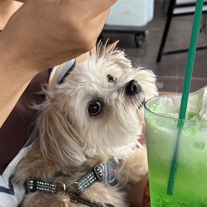 272968e7 fb05 40ef a465 506bfec8592a 1757213367283