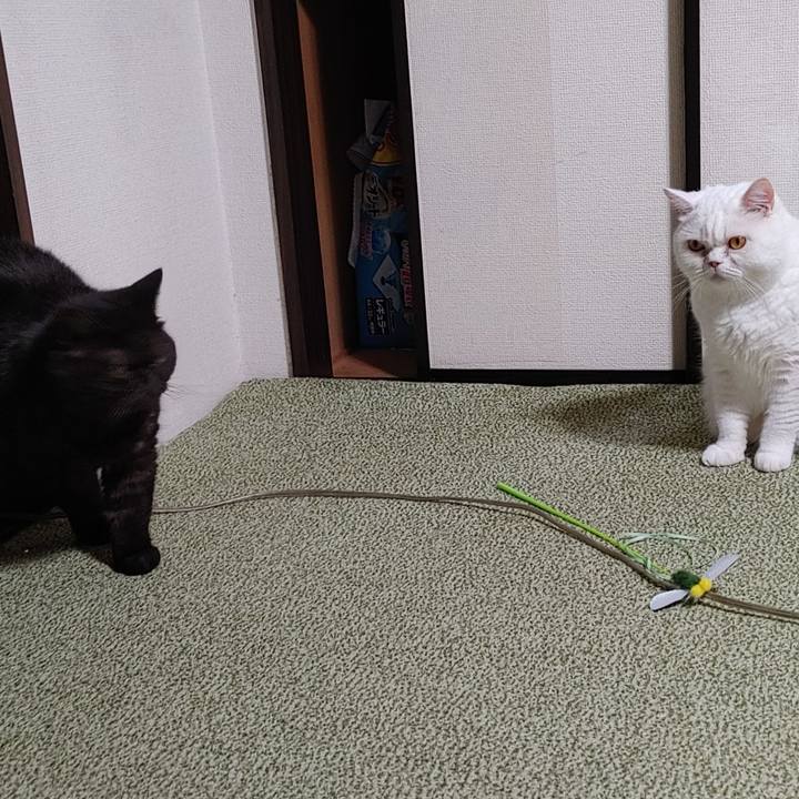 27297cb1 a381 498a 9163 a9e3c3b1627e 1632054726159