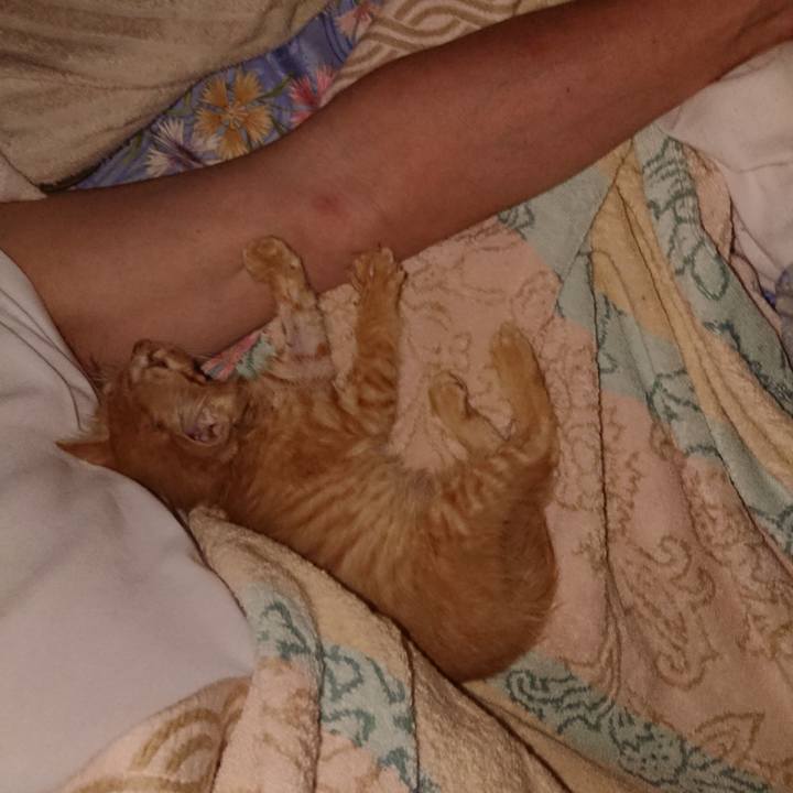 2729a2e9 0bd8 4f68 b13a 21c7cea05e43 1627778930539