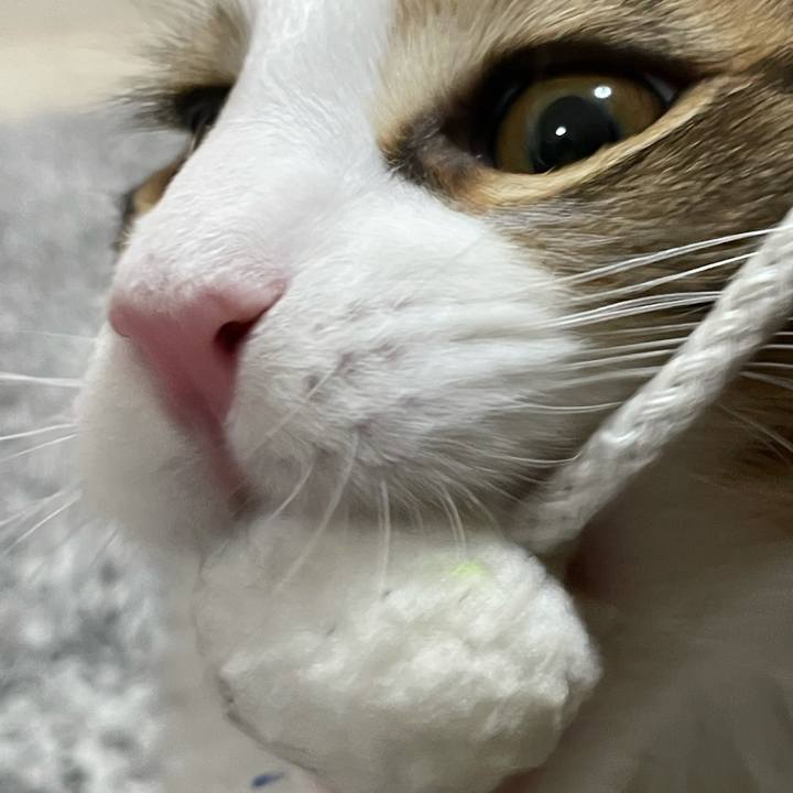 2729c4d8 08fa 4eec a80d d8f9bf3a9a49 1635625963758