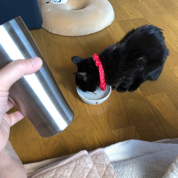 2729d666 c3db 4baa 81ad 9b2f8d5c5ddc 1556830664580