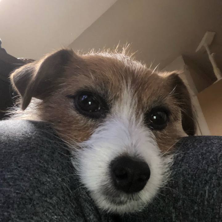 2729de44 083a 4e3a 8cc0 f15b9a4edb6a 1576995761720