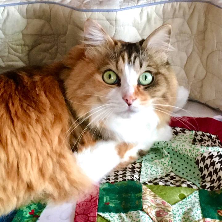 272a2348 637b 4e8a 824d 98eadd97e1a3 1592867676883