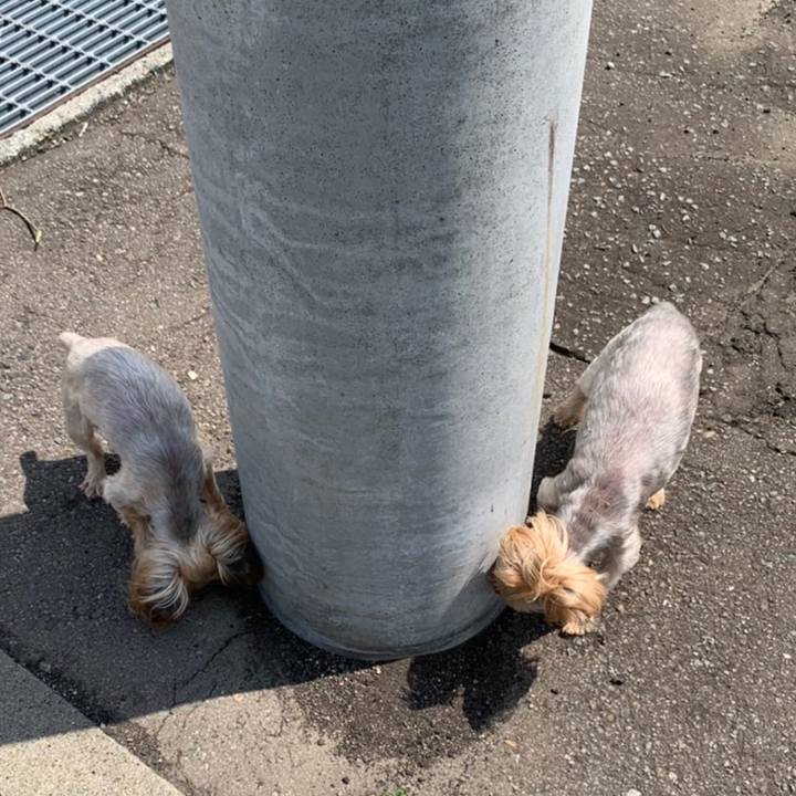 272a3bed 709f 4711 b297 2fdb55893f98 1657704752978