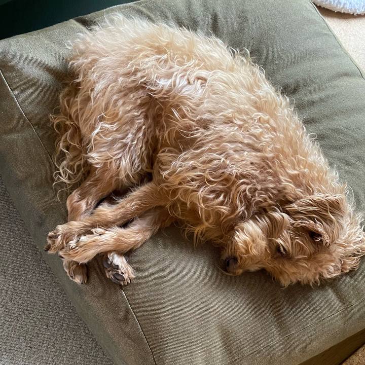 272a3de0 ee08 47a8 b793 0af855cdf276 1695892329859