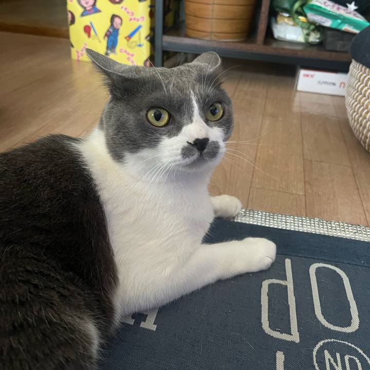 272a6fa2 ceca 475a bc58 92db438ccc16 1717743846516