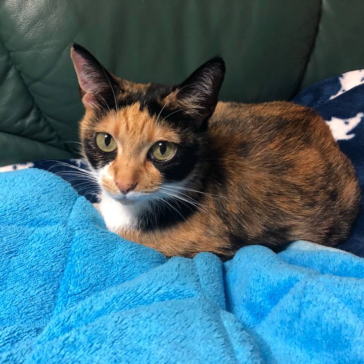 272a7d24 332b 47f1 bfa9 760c9050bb84 1560263865789