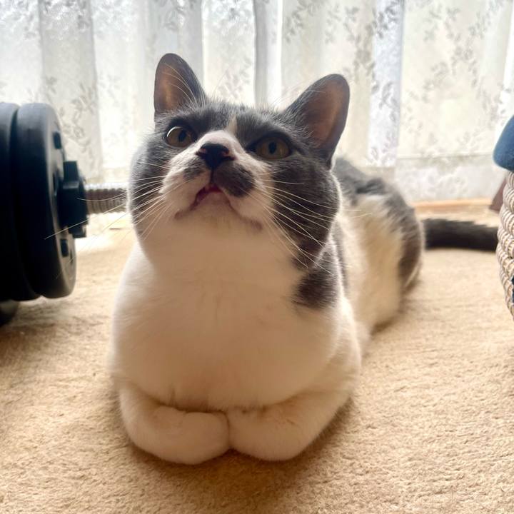 272aedf2 ad27 4656 b713 79fc84b1d2aa 1747612179750