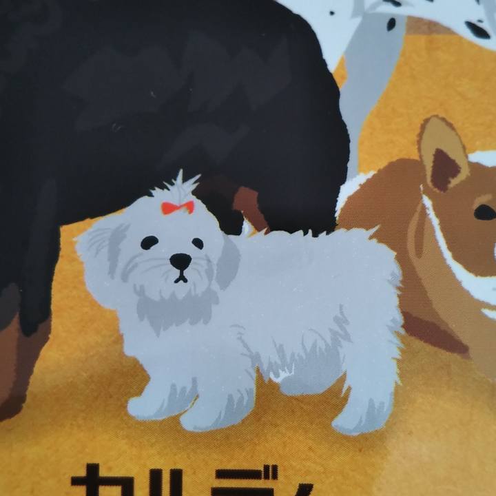 272b5303 befb 4922 aa07 7d37353b754a 1605137398760