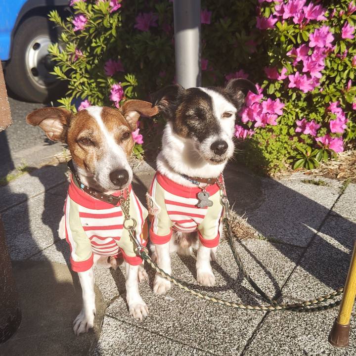 272b68e2 b381 4bc8 aac0 93f10c6f914e 1745186059970