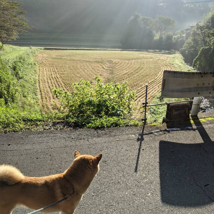 272b6fc9 400d 4011 a6e9 d9093c97a7ce 1599655220236