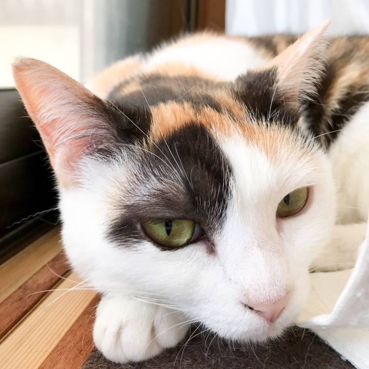 272ba55d 7ea2 4cb8 babe 71b505ba5d0f 1530110778692