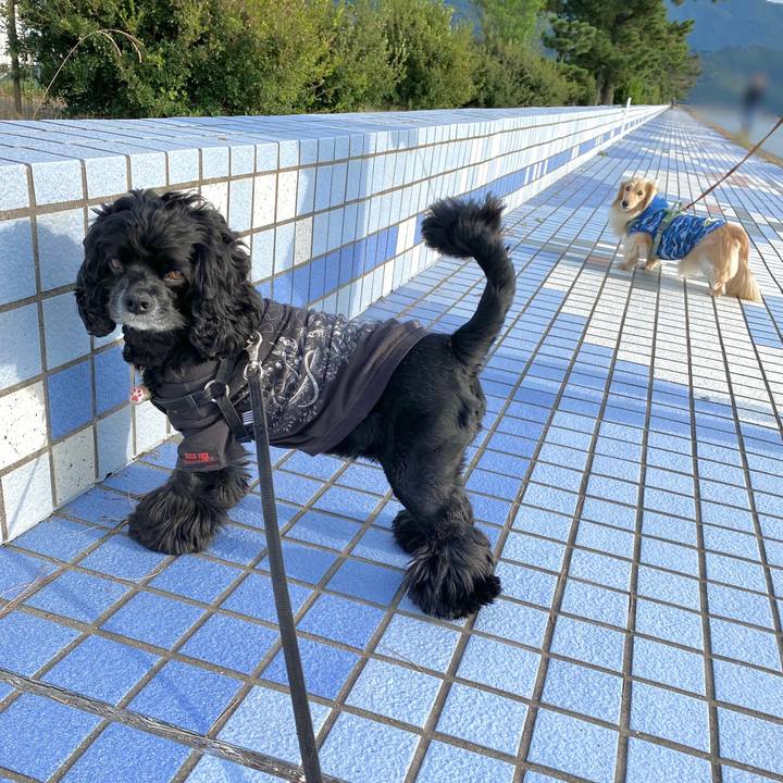 272bfcd6 e5da 4e6e 8b08 995bd884f1d1 1635119216290