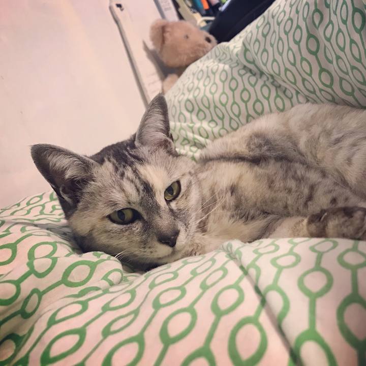 272c01f0 06ff 4512 b8ed c2d174c5a35a 1650529978150