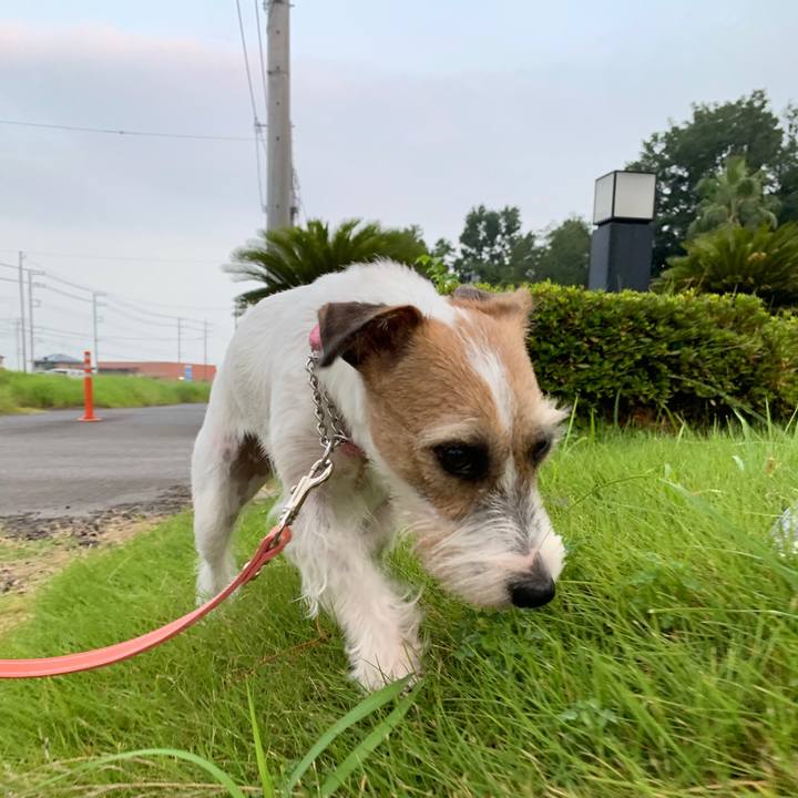 272c1e56 c758 45a9 ac97 b475a8b3babc 1597465502258