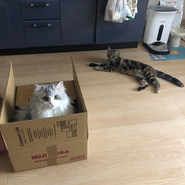 272c4ab6 3120 4ce3 9832 b846bd0f8581 1595835567050