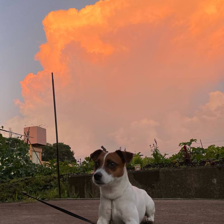 272cce4b 2236 43fe bf75 068f0b3c329f 1626607106189