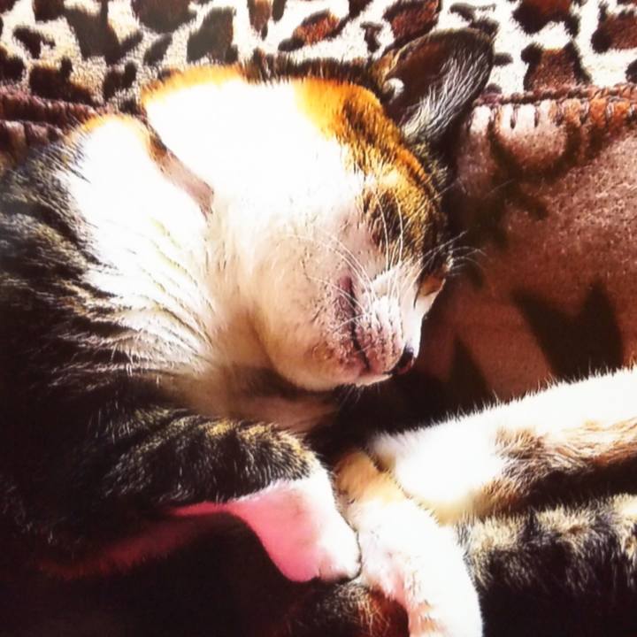 272ce23a dfdf 42ca aa94 c4af1ba2e6c5 1552204847821