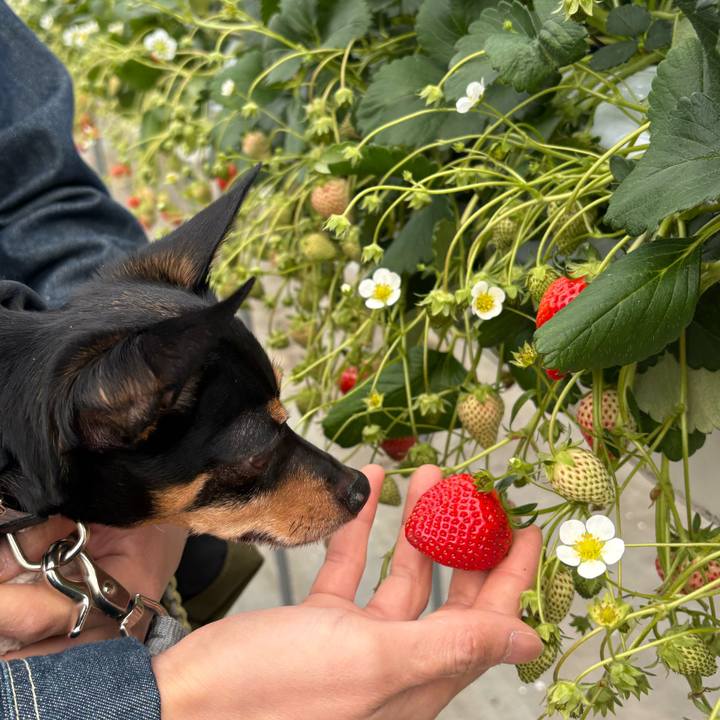 272d35f3 676d 4662 8285 348137fed13e 1772810165793