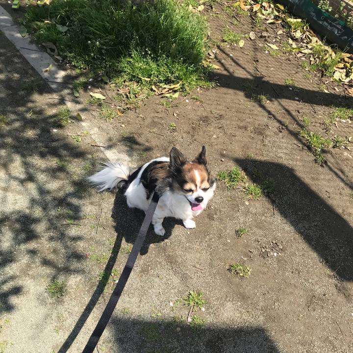 272d72f4 6311 43ab 983a 9e512bb03e34 1649560082958