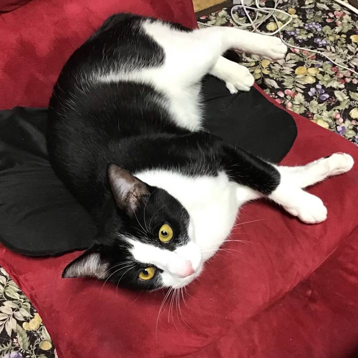 272d75e3 dc0b 4f63 8ae6 32c8c2a5d47d 1654759404798