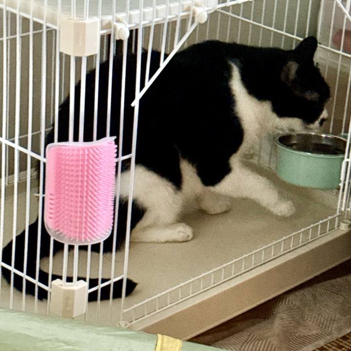 272df773 9f3d 4f0e b3ec e3ddb3fbffaa 1733663276371