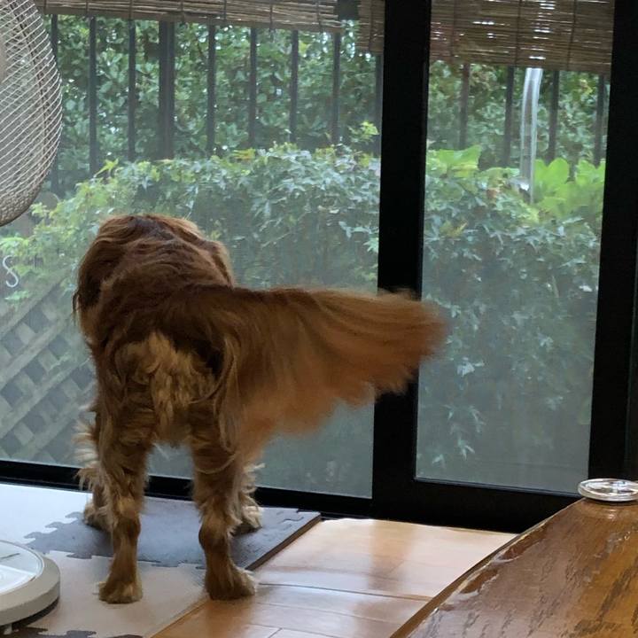 272e005f af36 432b 8b10 aeb671073c4e 1631311819736