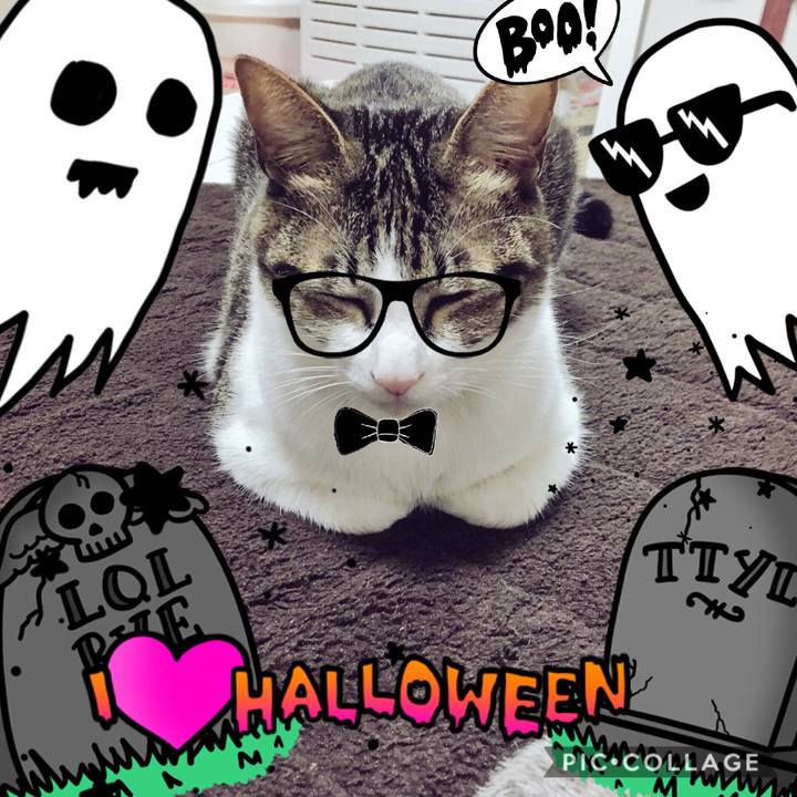 272e0714 803d 48df b50e cb9b9c2ad4e2 1508904434536