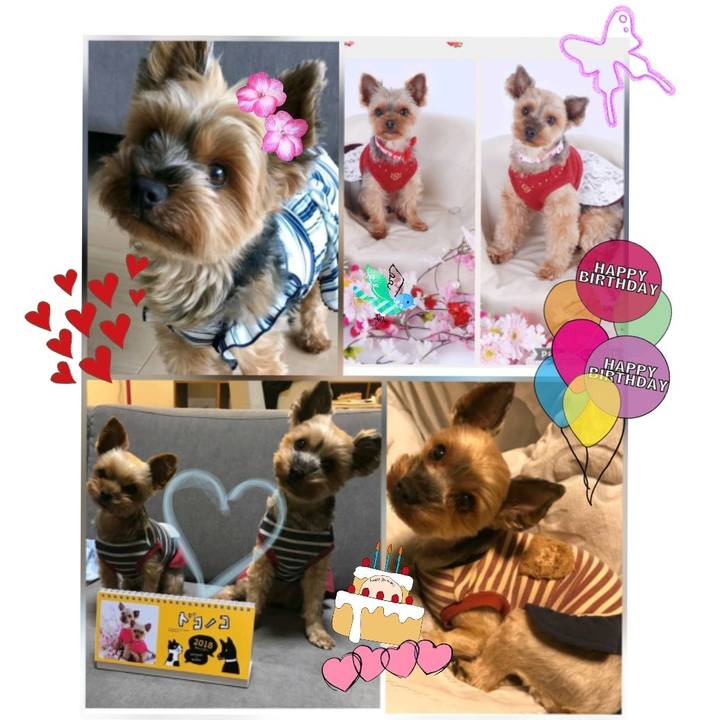 272e0b5a 6c64 4a54 9a6e 44eb0a96efb5 1531544218119