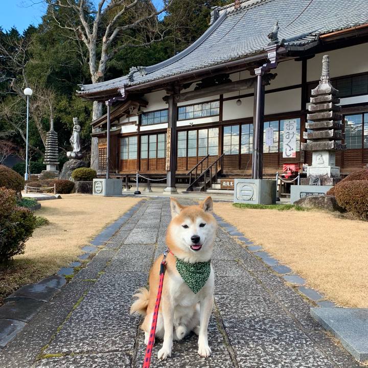 272e1665 a1fa 4e39 83f8 4d9eece60428 1672735522988