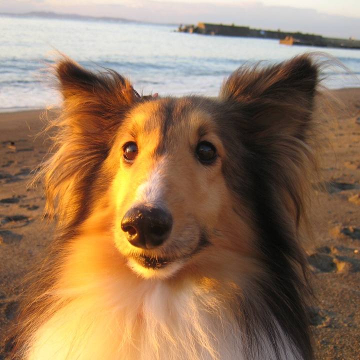 272e1ff5 7d14 4f7c 98ec 716adc56c352 1521634014270