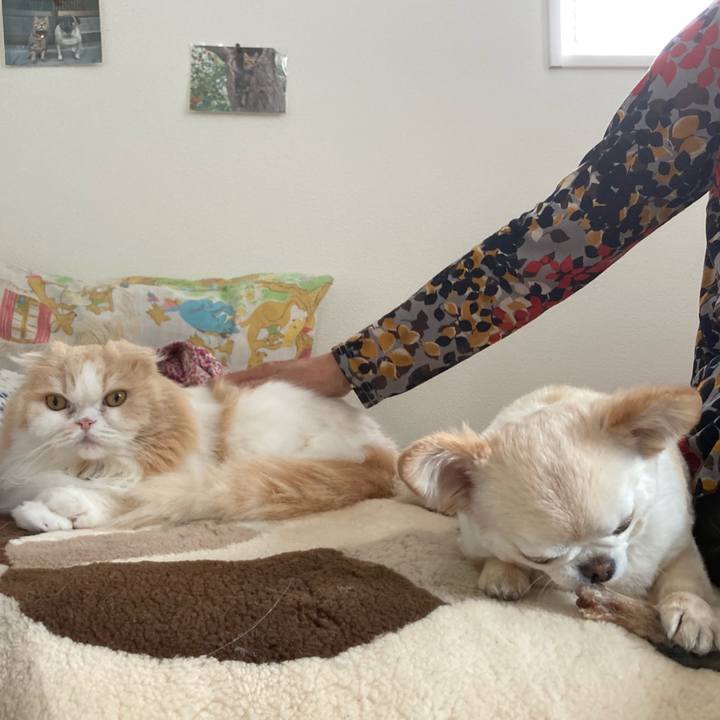 272e9a93 651f 4a0b aa75 d956dbce4c50 1653098920478