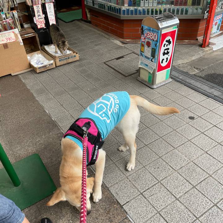 272e9cb1 6fe1 4b63 b8b6 0ea60dd293f1 1622100023723