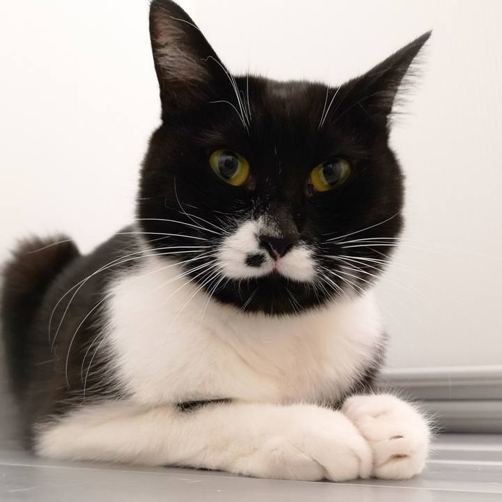 272ea4ab 2691 4703 b72b da0d72207a78 1543667905968