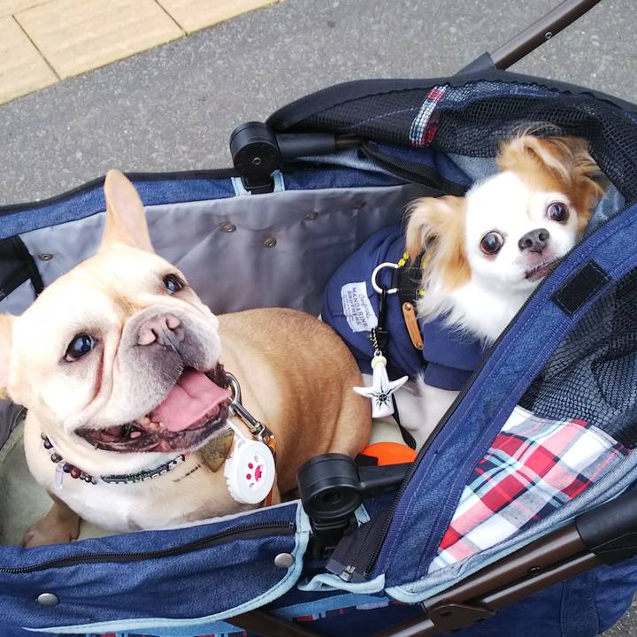 272eeb22 0fcd 4b83 b7f8 e0073b37db13 1581848402208