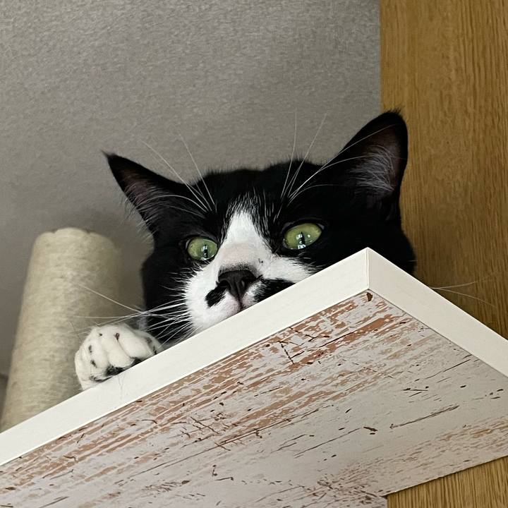 272efb3a 1151 4b4d 8bfd 347f9504f415 1653352126418