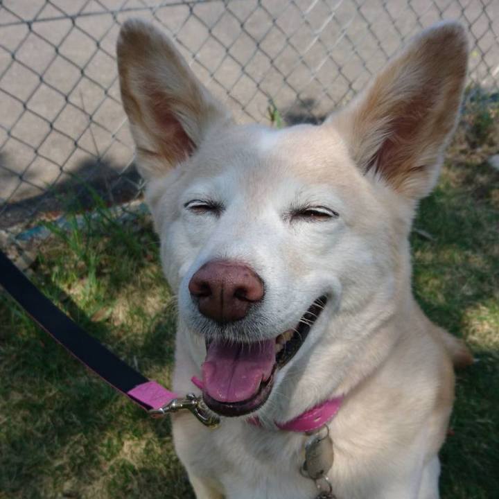 272f2e00 588f 4c6b a480 1cca43cd0709 1570793401144