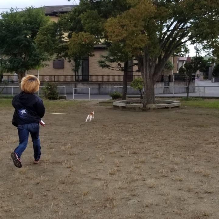 272f3ae9 956f 4dc8 ae31 3f3ab30d2451 1539503311395