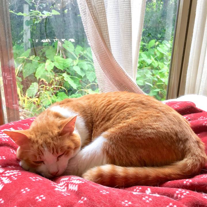 273026fb 67b4 41f3 bbdf 20026be64cef 1563351499420