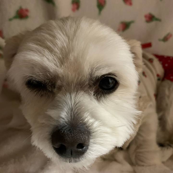 273062eb 68bf 4c6b 95dc 0a4fc8ddba5d 1617281595838