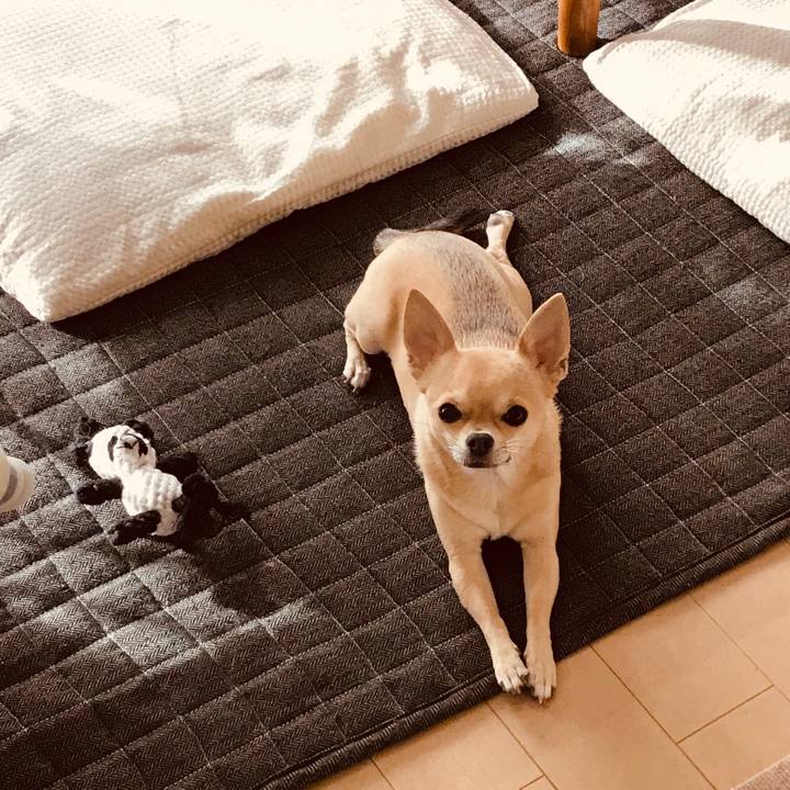 2730fcad 4fd9 4050 90fb 7f2b4dccadb8 1549494647880