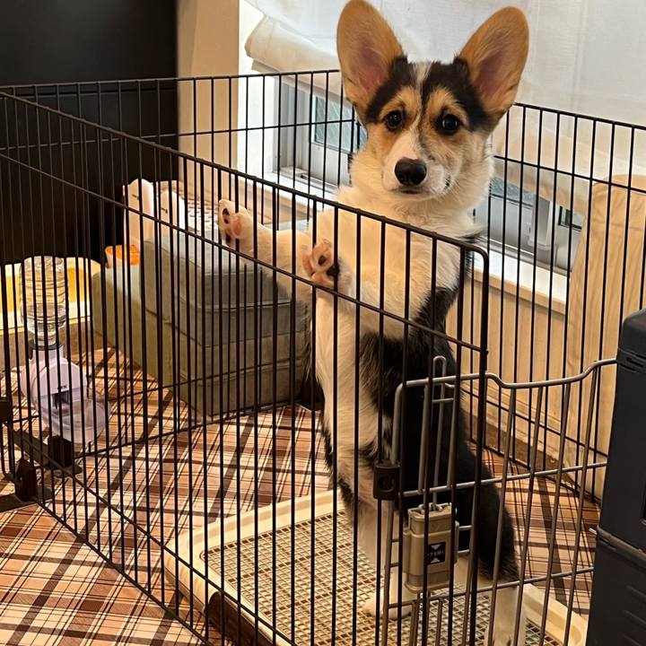 273111b6 1580 4fc9 8d6d c9b307bf3347 1772848804639