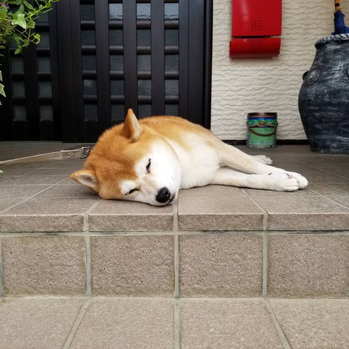 2731161f 9c51 4caf 962e 3cf7c3618598 1569118949522