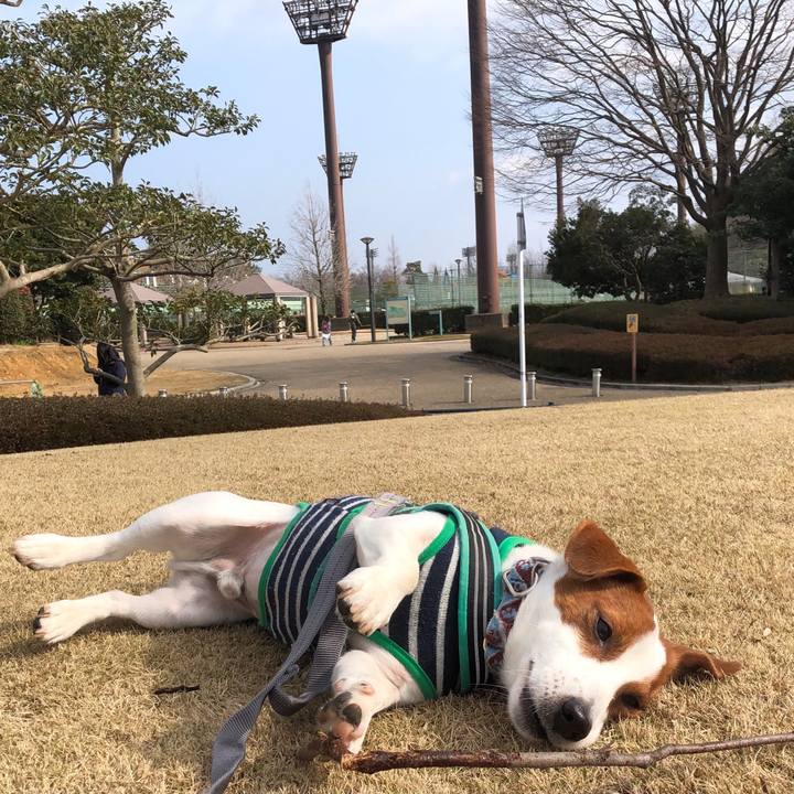 27311b8b 34cd 46bc 8166 8633c5752d7c 1613201894882